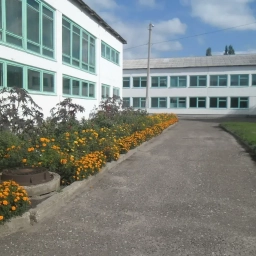 Аватар канала «МБОУ Салтынская СШ»