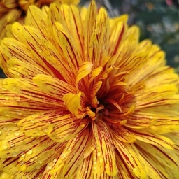 Аватар канала «МОУ СШ № 27 им. С.В. Лежнева»