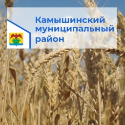Аватар канала «Администрация Камышинского муниципального района Волгоградской области»