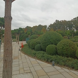 Аватар канала «ТСЖ "Доверие"»