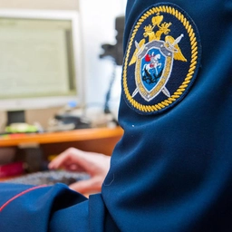 Аватар канала «Волгоградский следком»