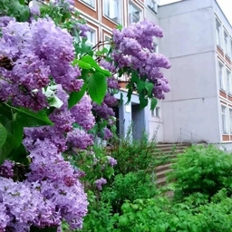 Аватар канала «МБОУ "Кадуйская СШ №1"»