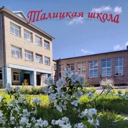 Аватар канала «БОУ КМО Талицкая СШ»