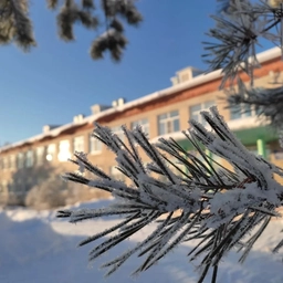 Аватар канала «МБОУ "Юбилейная СОШ" Тотемского округа»