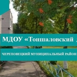 Аватар канала «МДОУ "Тоншаловский детский сад "Солнышко"»
