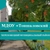 Аватар канала «МДОУ "Тоншаловский детский сад "Солнышко"»