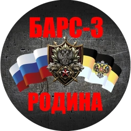 Аватар канала «БАРС-3 «Родина»»