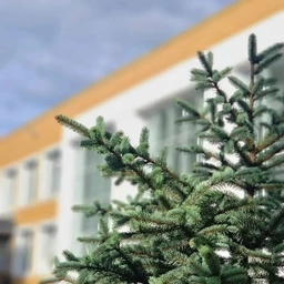 Аватар канала «Школа родная, девятая наша»