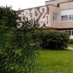 Аватар канала «МАОУ "Средняя общеобразовательная школа № 17"»