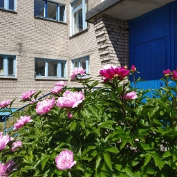 Аватар канала «МАДОУ "Детский сад № 103"»