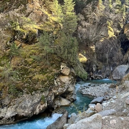 Аватар канала «МКОУ Шестаковская СОШ»