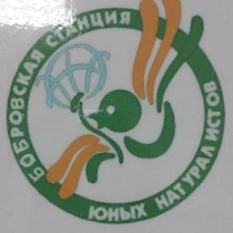 Аватар канала «МКУ ДО Бобровская СЮН»