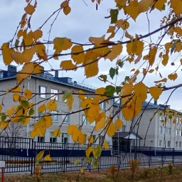 Аватар канала «МБОУ Заброденская СОШ им. А.А. Царегородского»