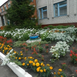 Аватар канала «МКОУ "Добринская СОШ" Лискинский район»