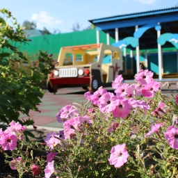 Аватар канала «КАНАЛ МКДОУ детский сад № 8»