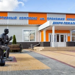 Аватар канала «МБОУ ДО "ДЮСШ "Каисса" Панинского муниципального района»