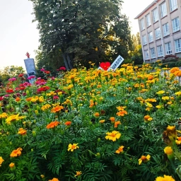 Аватар канала «Жизнь МБОУ "СОШ №2" (сш № 22) г.Поворино»