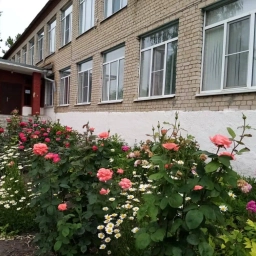 Аватар канала «МКОУ Александровская СОШ, Россошанский муниципальный район, Воронежская область»