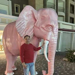 Аватар канала «Розовый Слон»