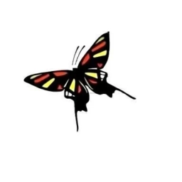 Аватар канала «МБОУ "Гимназия №1"»