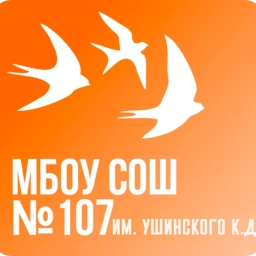 Аватар канала «МБОУ «СОШ 107 им.Ушинского К.Д.»»