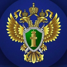 Аватар канала «Прокуратура Воронежской области»