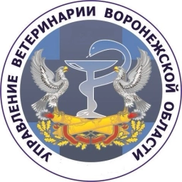 Аватар канала «Управление ветеринарии Воронежской области»