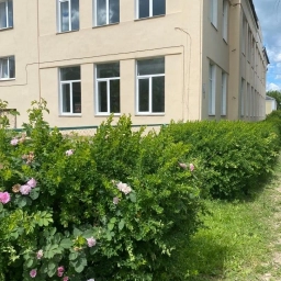 Аватар канала «МБОУ СОШ 17 г.о. Вичуга»