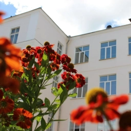 Аватар канала «МБОУ "СШ №37" г. Иваново»