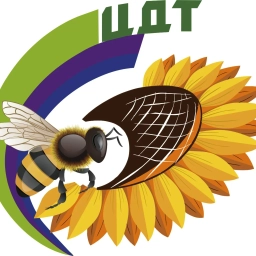 Аватар канала «МАУ ДО ЦДТ Фурманов»