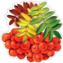 Аватар канала «МДОУ "Детский сад № 38"»