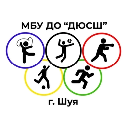 Аватар канала «ДЮСШ г.о. Шуя»
