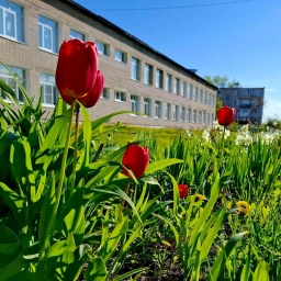 Аватар канала «МКОУ Шилыковская СШ, Лежневский муниципальный район»