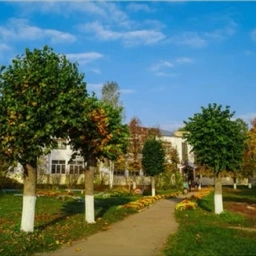 Аватар канала «МБОУ Ново-Горкинская СШ им.Героя Советского Союза П.П.Ярцева»