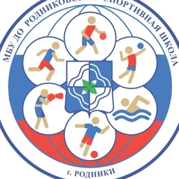 Аватар канала «МБУ ДО "Родниковская спортивная школа"»