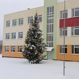 Аватар канала «Савинская средняя школа п.Савино Ивановская область»