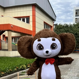 Аватар канала «МБДОУ г. Иркутска детский сад 82»