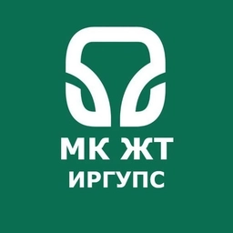 Аватар канала «МК ЖТ ИрГУПС»