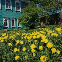 Аватар канала «Хранитель времени»