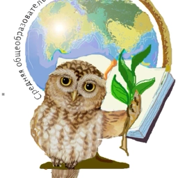 Аватар канала «МКОУ ШР «СОШ № 5»»