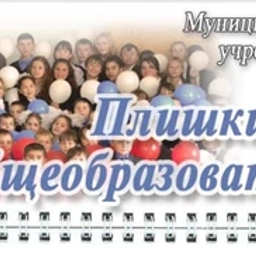 Аватар канала «Плишкинская школа»