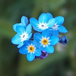 Аватар канала «МКДОУ детский сад "Незабудка"»