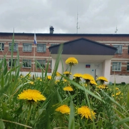 Аватар канала «МКОУ СОШ С.САЯНСКОЕ»