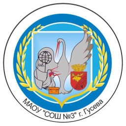 Аватар канала «МАОУ «СОШ № 3 ИМ. ГЕРОЯ РФ В.С. ПАЛАМАРЧУКА»»