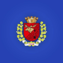 Аватар канала «Администрация Гусевского городского округа»