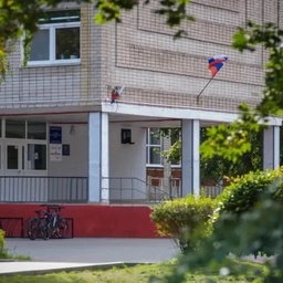 Аватар канала «МБОУ СОШ МО "Ладушкинский городской округ"»