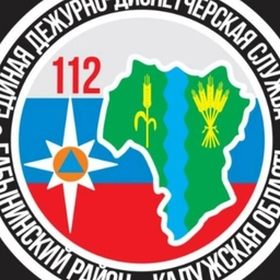 Аватар канала «ЕДДС Бабынинского округа»