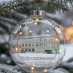 Аватар канала «Ульяновская школа»