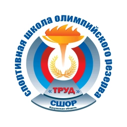 Аватар канала «СШОР "Труд "»