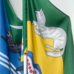 Аватар канала «ИНФО Крутогоровский»